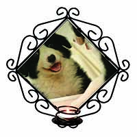 Border Collie in Mirror Wrought Iron Wall Art Candle Holder