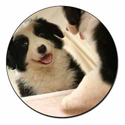 Border Collie in Mirror Fridge Magnet Printed Full Colour