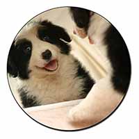 Border Collie in Mirror Fridge Magnet Printed Full Colour