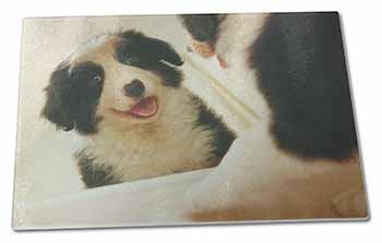 Large Glass Cutting Chopping Board Border Collie in Mirror