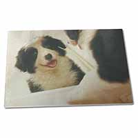 Large Glass Cutting Chopping Board Border Collie in Mirror