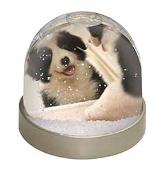 Border Collie in Mirror Snow Globe Photo Waterball