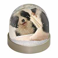 Border Collie in Mirror Snow Globe Photo Waterball