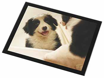Border Collie in Mirror Black Rim High Quality Glass Placemat