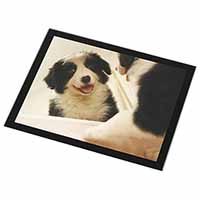 Border Collie in Mirror Black Rim High Quality Glass Placemat