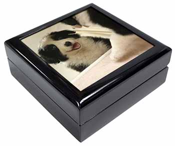 Border Collie in Mirror Keepsake/Jewellery Box