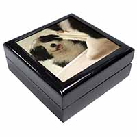 Border Collie in Mirror Keepsake/Jewellery Box