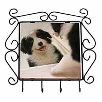 Border Collie in Mirror Wrought Iron Key Holder Hooks