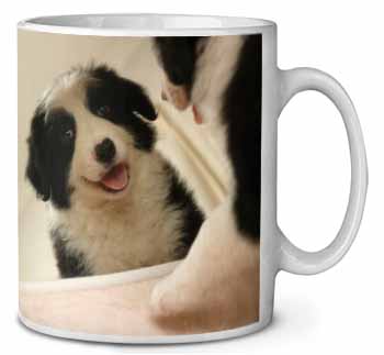 Border Collie in Mirror Ceramic 10oz Coffee Mug/Tea Cup