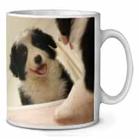 Border Collie in Mirror Ceramic 10oz Coffee Mug/Tea Cup