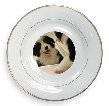 Border Collie in Mirror Gold Rim Plate Printed Full Colour in Gift Box