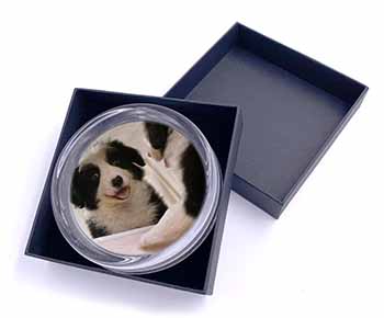 Border Collie in Mirror Glass Paperweight in Gift Box