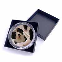 Border Collie in Mirror Glass Paperweight in Gift Box