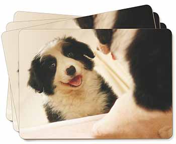 Border Collie in Mirror Picture Placemats in Gift Box