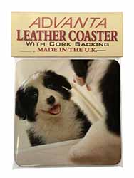 Border Collie in Mirror Single Leather Photo Coaster