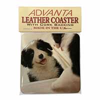 Border Collie in Mirror Single Leather Photo Coaster