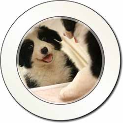 Border Collie in Mirror Car or Van Permit Holder/Tax Disc Holder