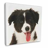 Border Collie Puppy Square Canvas 12"x12" Wall Art Picture Print