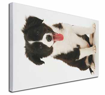 Border Collie Puppy Canvas X-Large 30"x20" Wall Art Print
