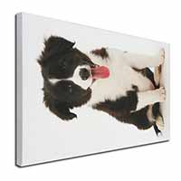 Border Collie Puppy Canvas X-Large 30"x20" Wall Art Print