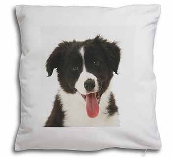 Border Collie Puppy Soft White Velvet Feel Scatter Cushion