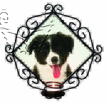 Border Collie Puppy Wrought Iron Wall Art Candle Holder