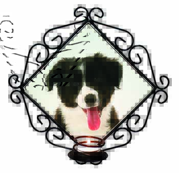 Border Collie Puppy Wrought Iron Wall Art Candle Holder