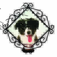 Border Collie Puppy Wrought Iron Wall Art Candle Holder