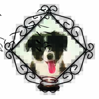 Border Collie Puppy Wrought Iron Wall Art Candle Holder