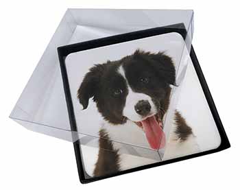 4x Border Collie Puppy Picture Table Coasters Set in Gift Box