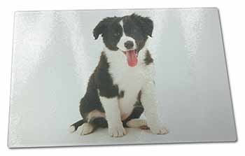 Large Glass Cutting Chopping Board Border Collie Puppy