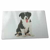 Large Glass Cutting Chopping Board Border Collie Puppy