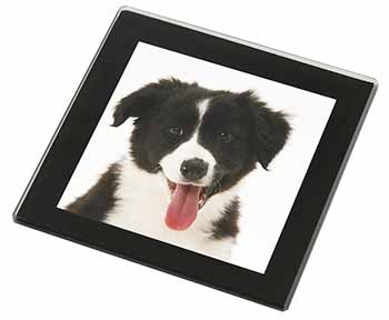 Border Collie Puppy Black Rim High Quality Glass Coaster