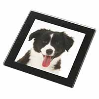 Border Collie Puppy Black Rim High Quality Glass Coaster