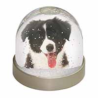 Border Collie Puppy Snow Globe Photo Waterball