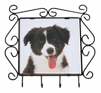 Border Collie Puppy Wrought Iron Key Holder Hooks