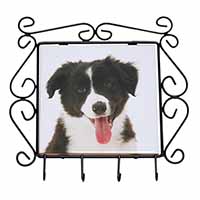 Border Collie Puppy Wrought Iron Key Holder Hooks