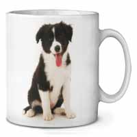 Border Collie Puppy Ceramic 10oz Coffee Mug/Tea Cup