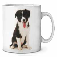Border Collie Puppy Ceramic Coffee Mug/Tea Cup