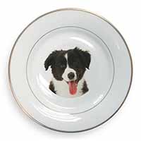 Border Collie Puppy Gold Rim Plate Printed Full Colour in Gift Box