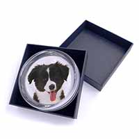 Border Collie Puppy Glass Paperweight in Gift Box