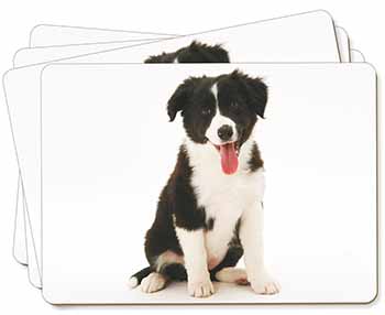 Border Collie Puppy Picture Placemats in Gift Box