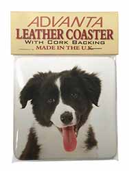 Border Collie Puppy Single Leather Photo Coaster