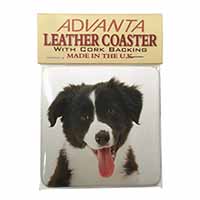Border Collie Puppy Single Leather Photo Coaster