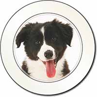 Border Collie Puppy Car or Van Permit Holder/Tax Disc Holder