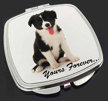 Border Collie Puppy 