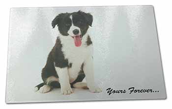 Large Glass Cutting Chopping Board Border Collie Puppy 