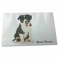 Large Glass Cutting Chopping Board Border Collie Puppy 