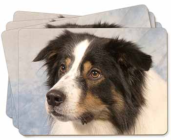 TriCol Border Collie Dog Picture Placemats in Gift Box