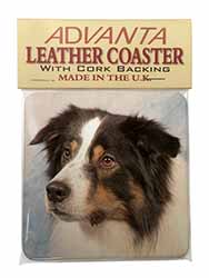 TriCol Border Collie Dog Single Leather Photo Coaster